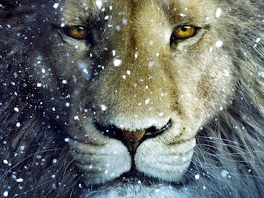 Aslan-Lion-3-The-Chronicles-of-Narnia-Wallpaper