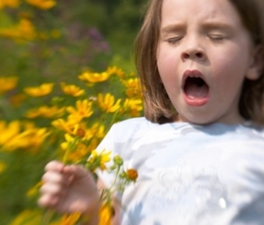 large_child-sneezing