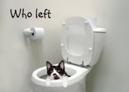 who_left_the_toilet_seat_up_card-rf34423fca156453a8e8592022f2da4cf_xvuak_8byvr_324
